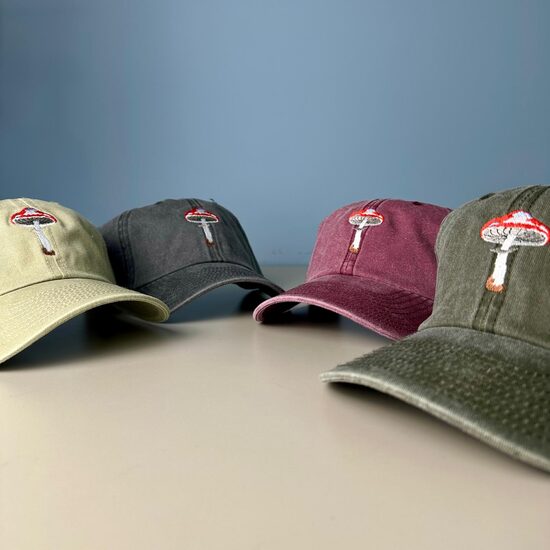 Cap Mushroom (washed)
